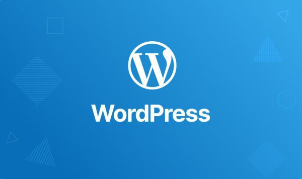 Wordpress: complete WordPress theme & plugin development